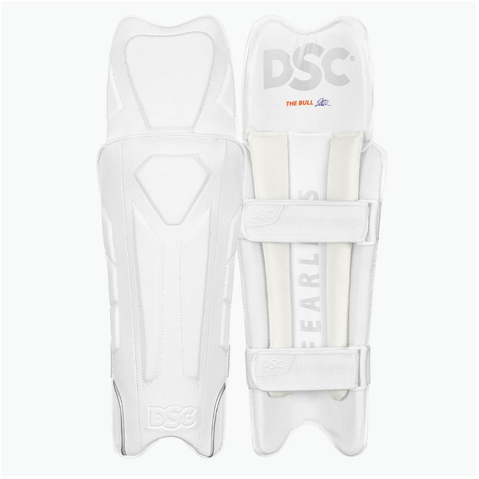 DSC The Bull Autograph Wicket Keeping Legguard - Youth