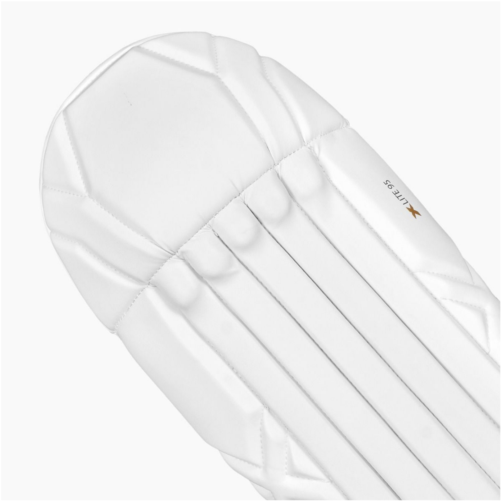 DSC Xlite 95 Wicket Keeping Legguard - Youth