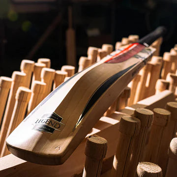 Gray Nicolls Legend Cricket Bat - Senior Long Blade