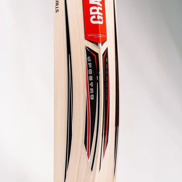 Gray Nicolls Spectre 1350 Cricket Bat - Long Blade (Play Now)