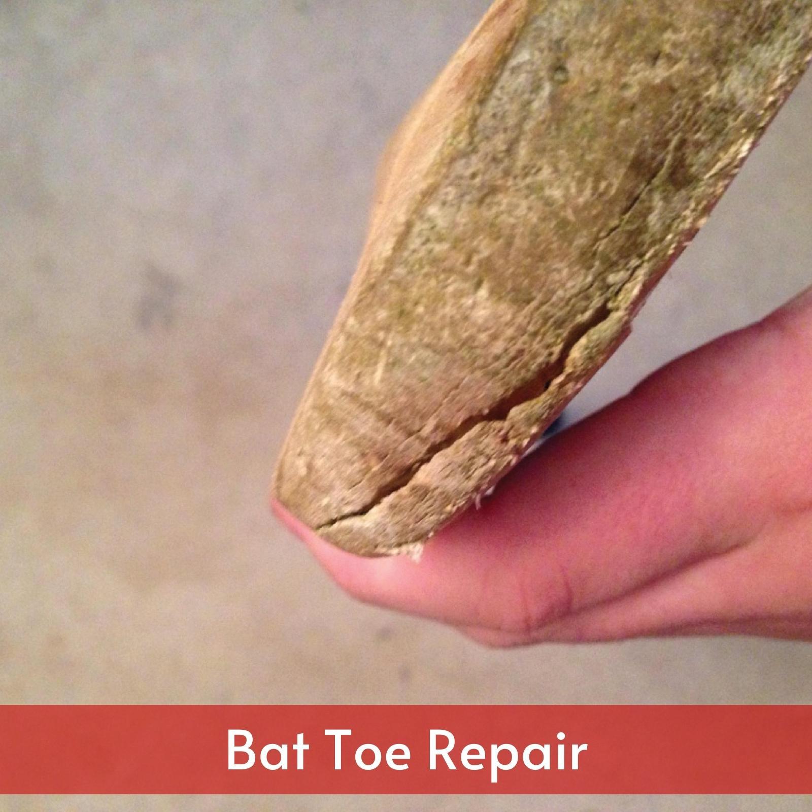 Toe Repair