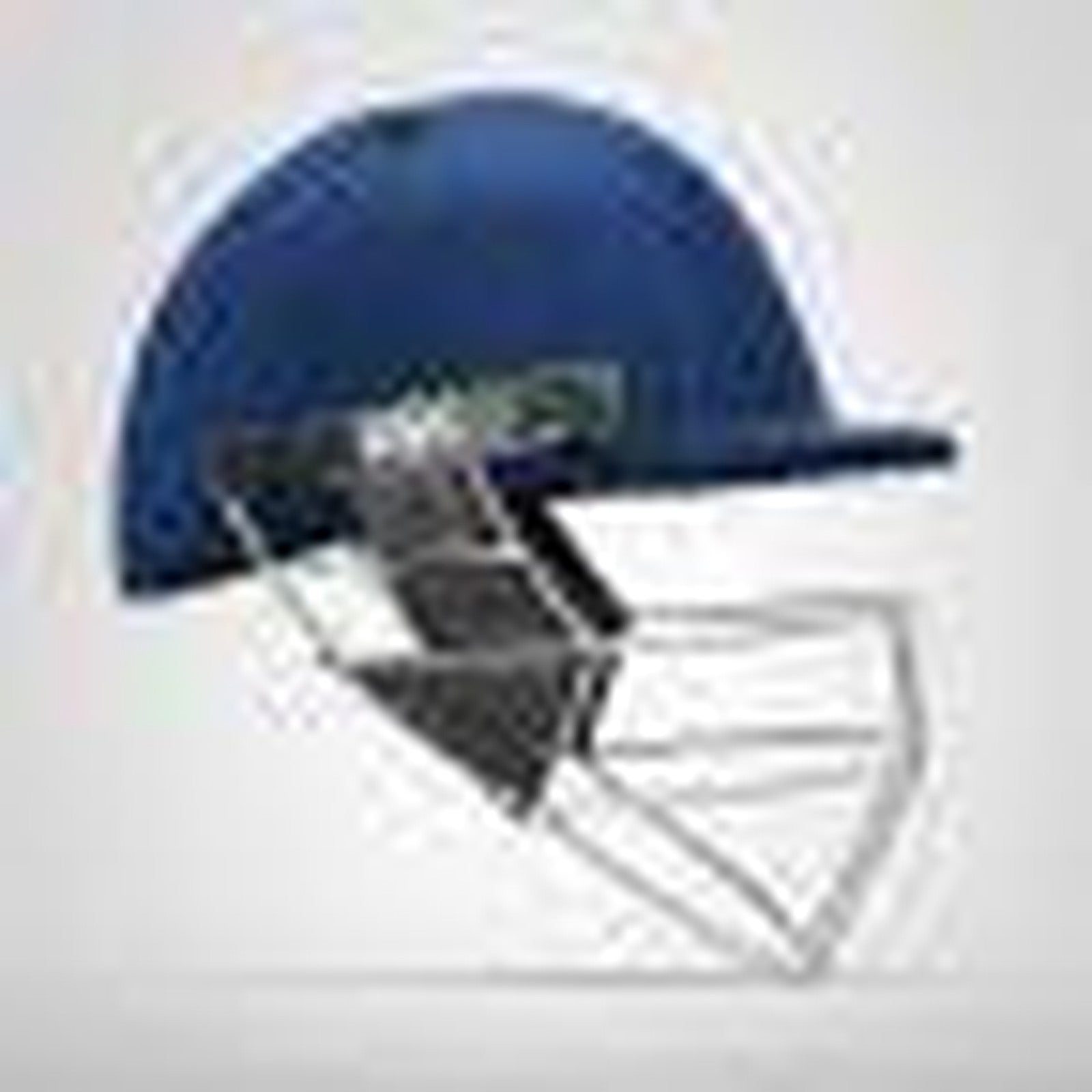 DSC Defender Steel Cricket Helmet - Senior