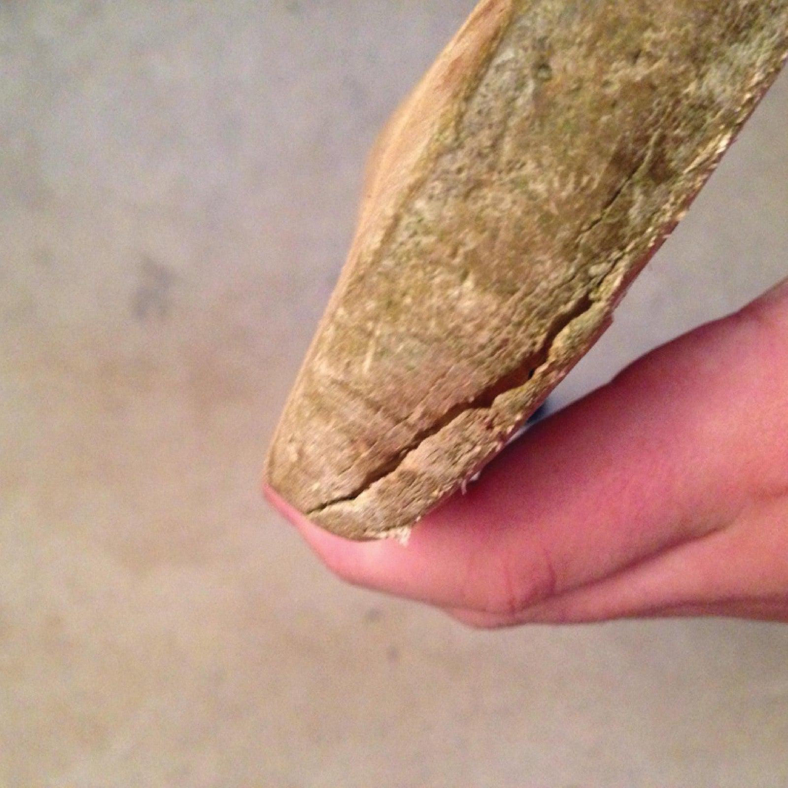 Toe Repair