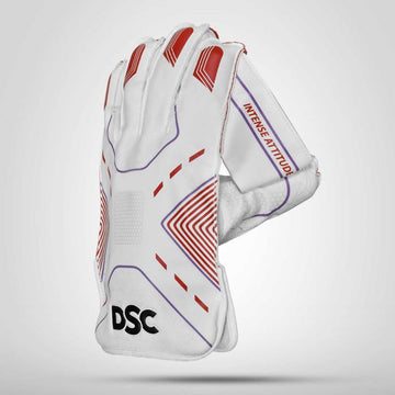 DSC Wicket Keeping Gloves