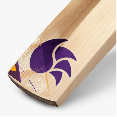 DSC Krunch 100 Cricket Bat - Adult