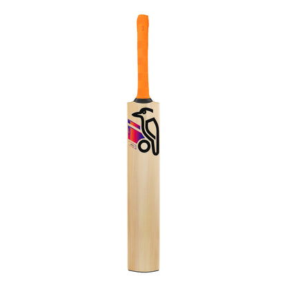 Kookaburra Aura Pro 8.0 Kashmiri Willow Cricket Bat - Harrow