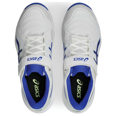 Asics Speed Menace FF Spike Cricket Shoes