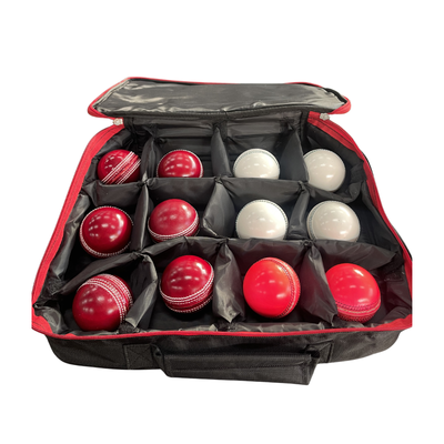 Sturdy Dozen Ball Case
