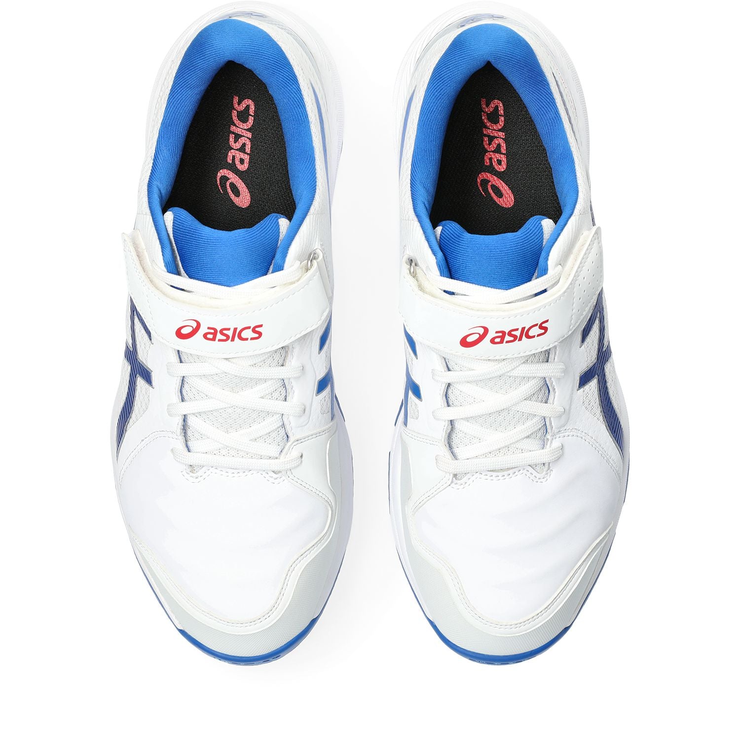 Asics Speed Menace FF Steel Spikes Cricket Shoes