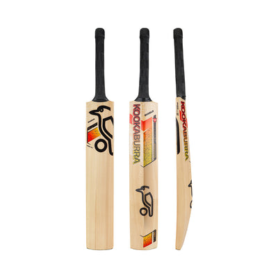 Kookaburra Diablo Pro 8.1 Kashmiri Willow Junior Cricket Bat - Size 1