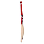 DSC Flip 200 Cricket Bat - Senior