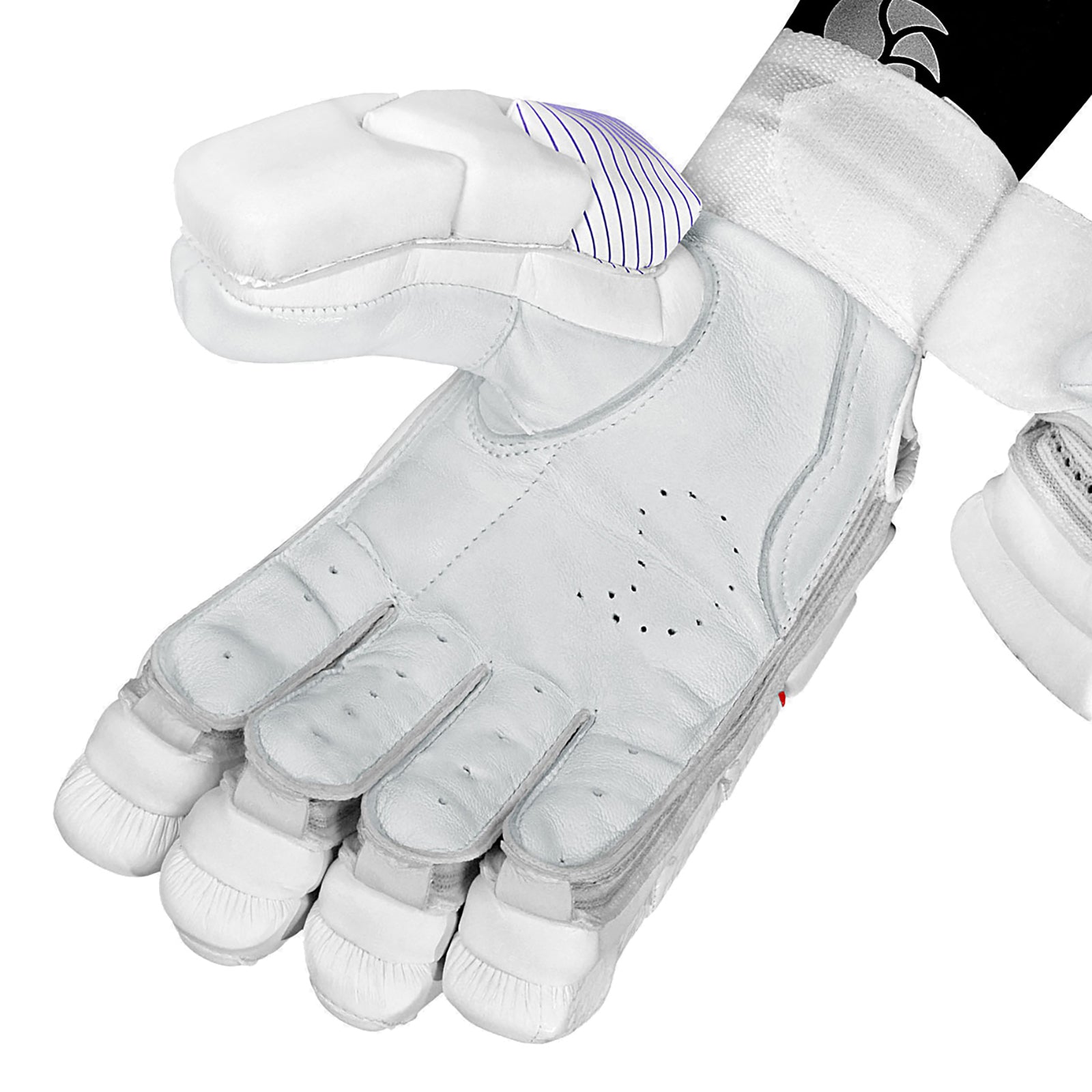 DSC Krunch Bull Autograph Cricket Batting Gloves - Youth