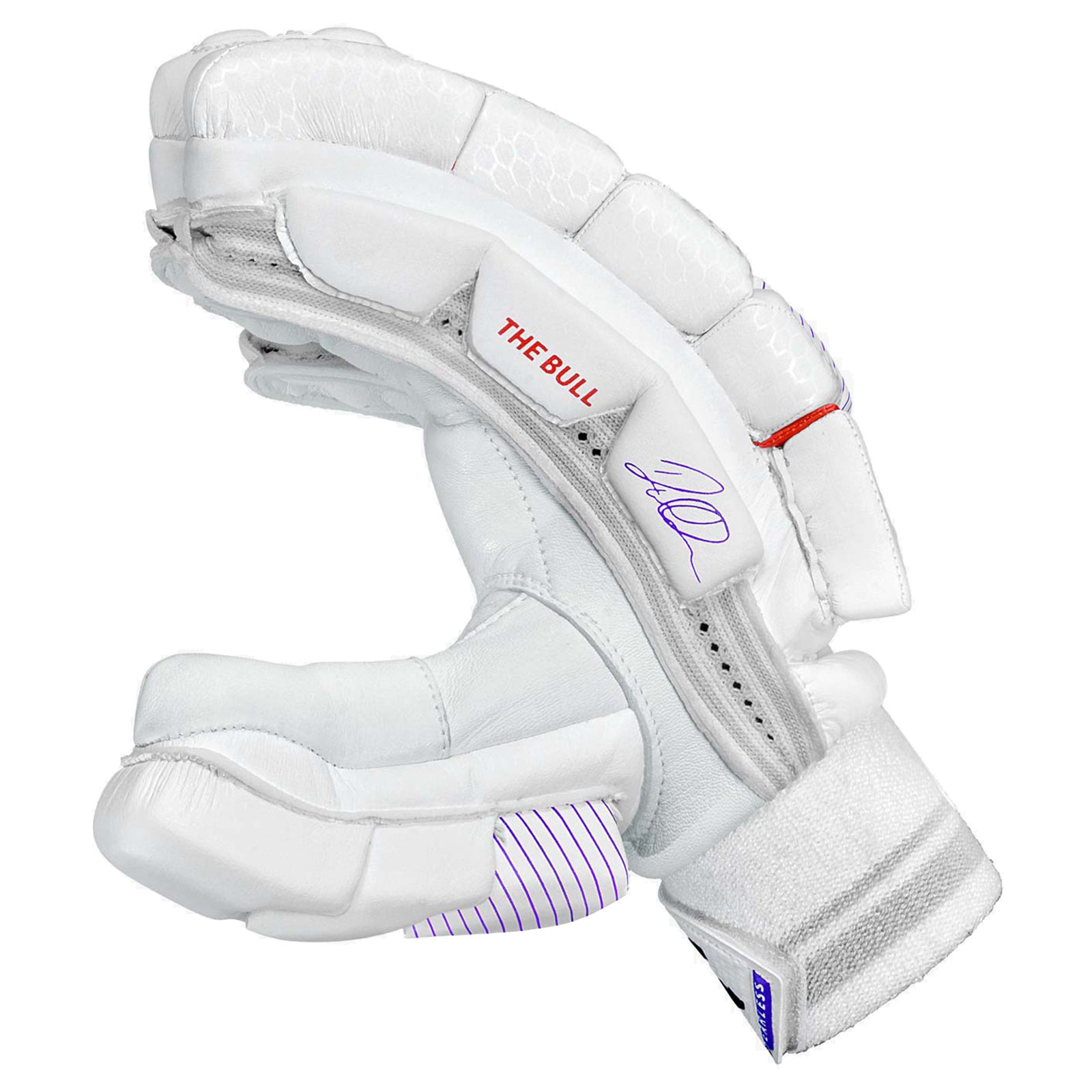 DSC Krunch Bull Autograph Cricket Batting Gloves - Youth