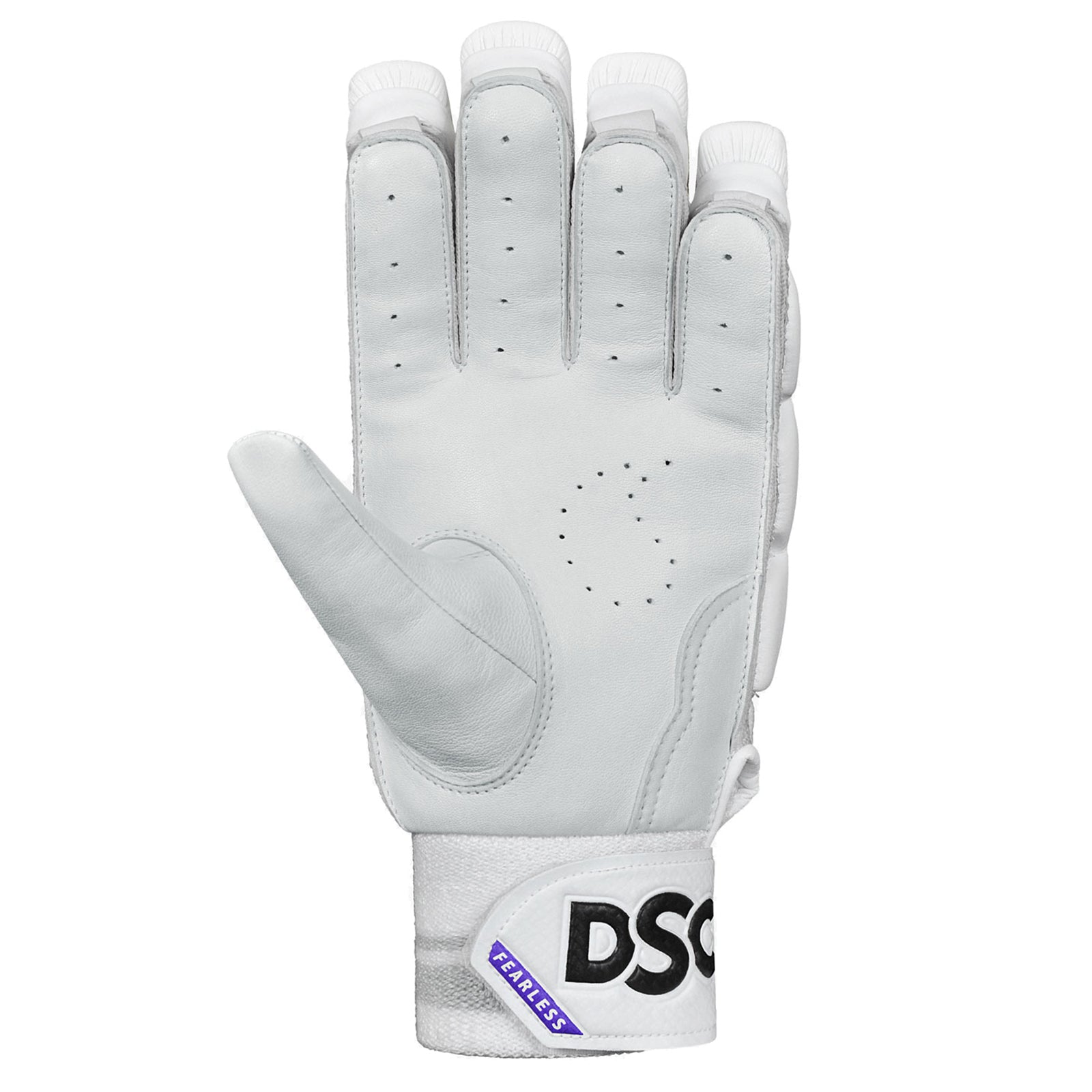 DSC Krunch Bull Autograph Cricket Batting Gloves - Youth