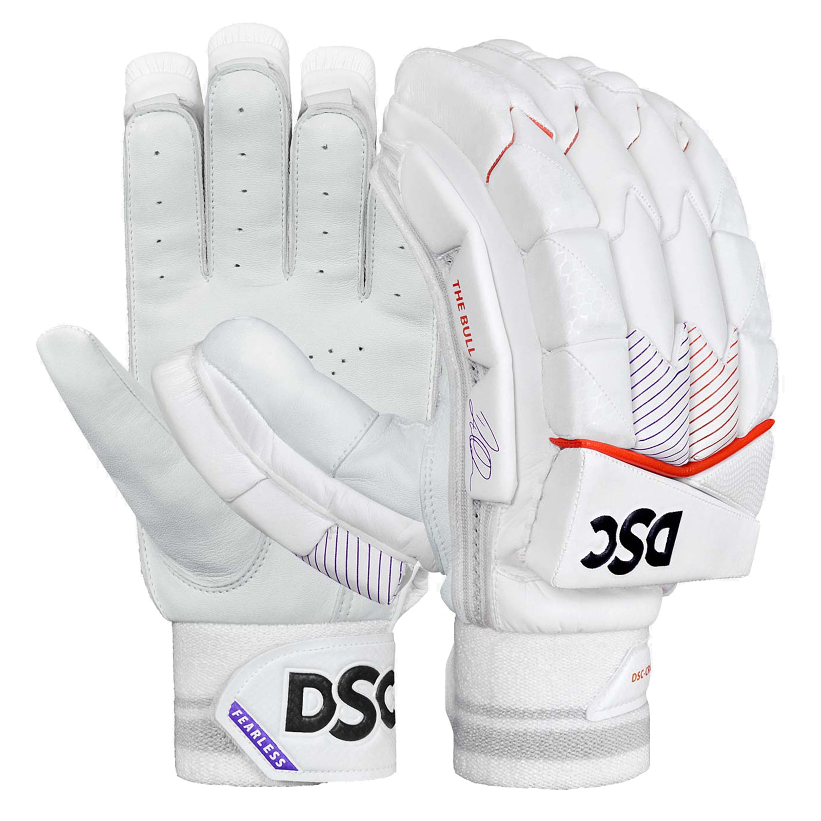 DSC Krunch Bull Autograph Cricket Batting Gloves - Youth