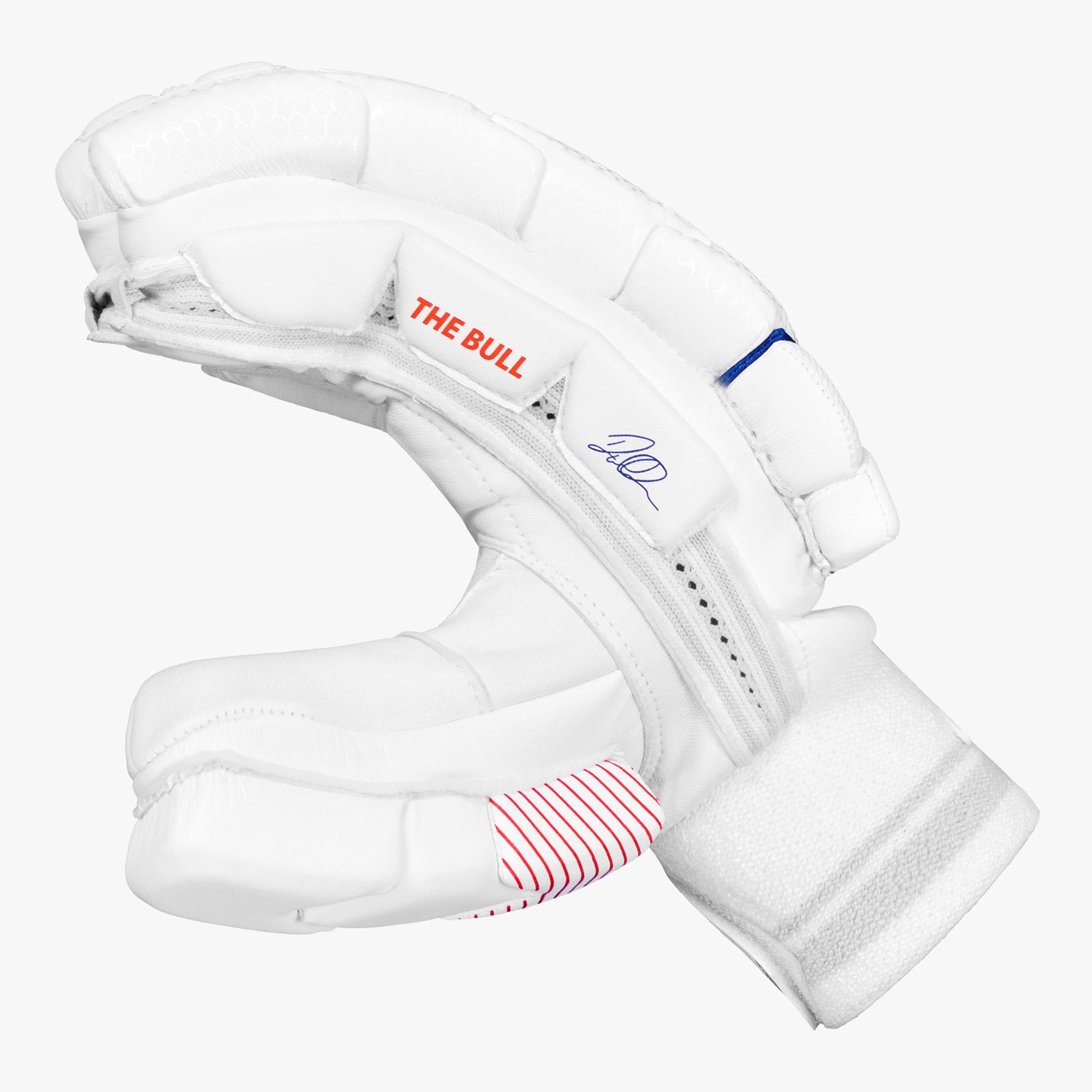 DSC Krunch The Bull Autograph Cricket Batting Gloves - Senior
