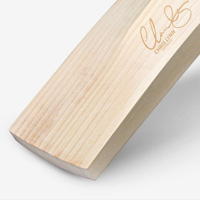 DSC Pearla Player Edition Cricket Bat - Small Adult