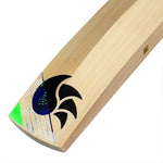 DSC Spliit Pro Cricket Bat - Senior