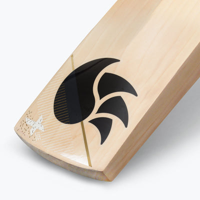 DSC Xlite 95 Cricket Bat - Adult
