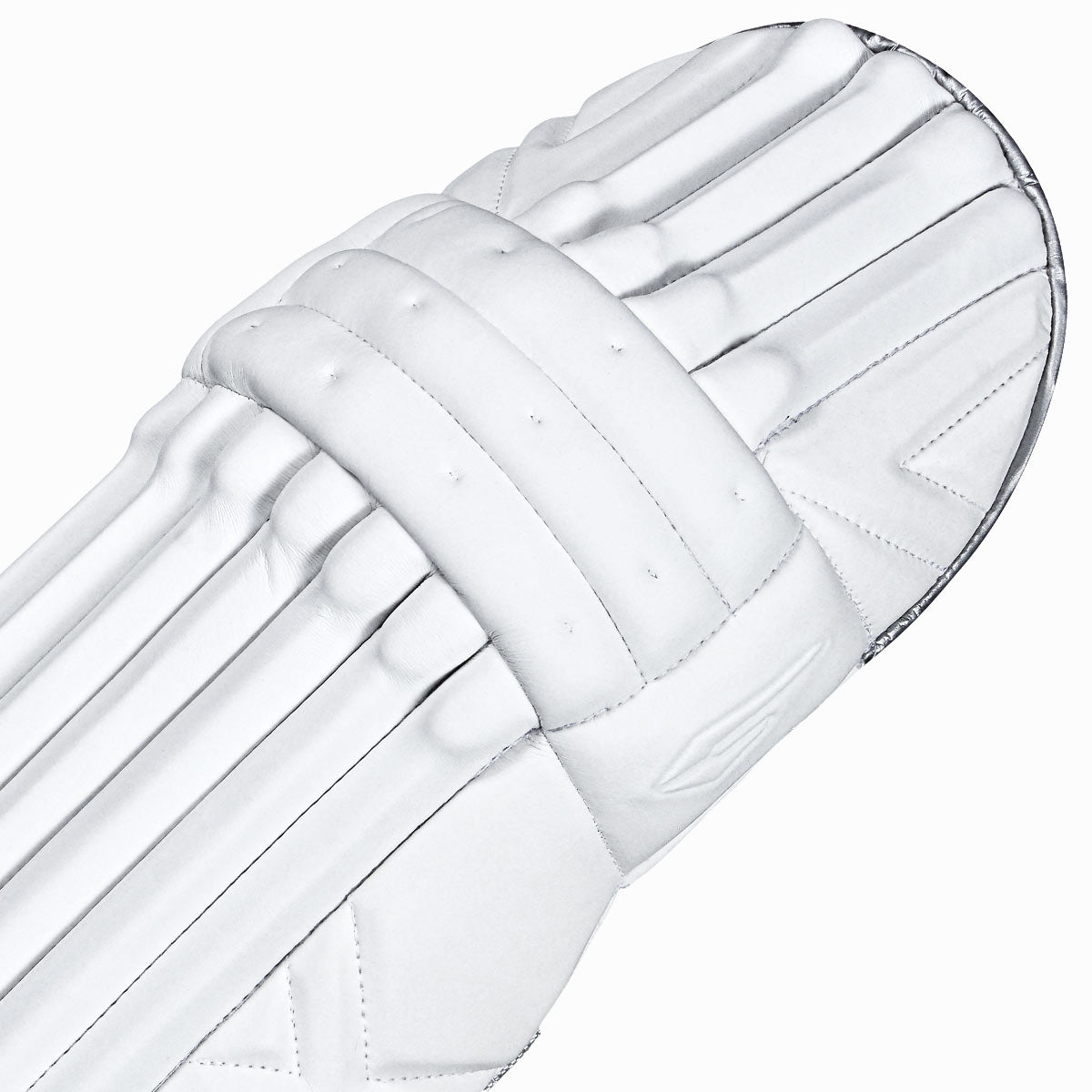 DSC Xlite L.E Cricket Batting Pads - Senior