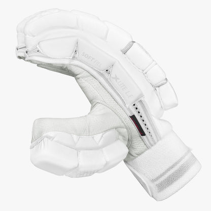 DSC Xlite Limited Edition Cricket Batting Gloves - Senior