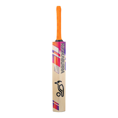 Kookaburra Aura Pro 8.0 Kashmiri Willow Cricket Bat - Adult