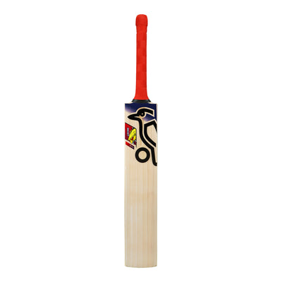 Kookaburra Beast Pro 9.0 Kashmir Willow Junior Cricket Bat - Size 1
