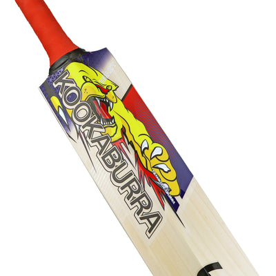 Kookaburra Beast Pro Players Cricket Bat - Senior