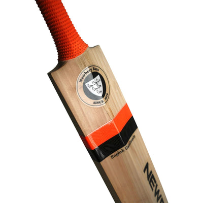 Newbery Master 100 G4 Cricket Bat - Adult