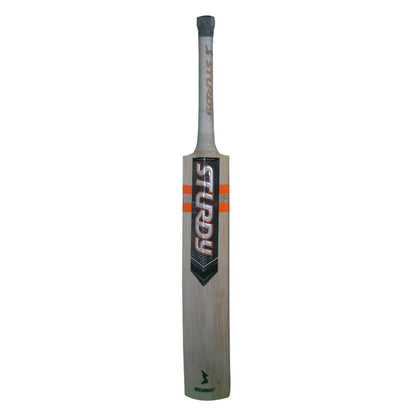 Sturdy Komodo Cricket Bat - Small Adult