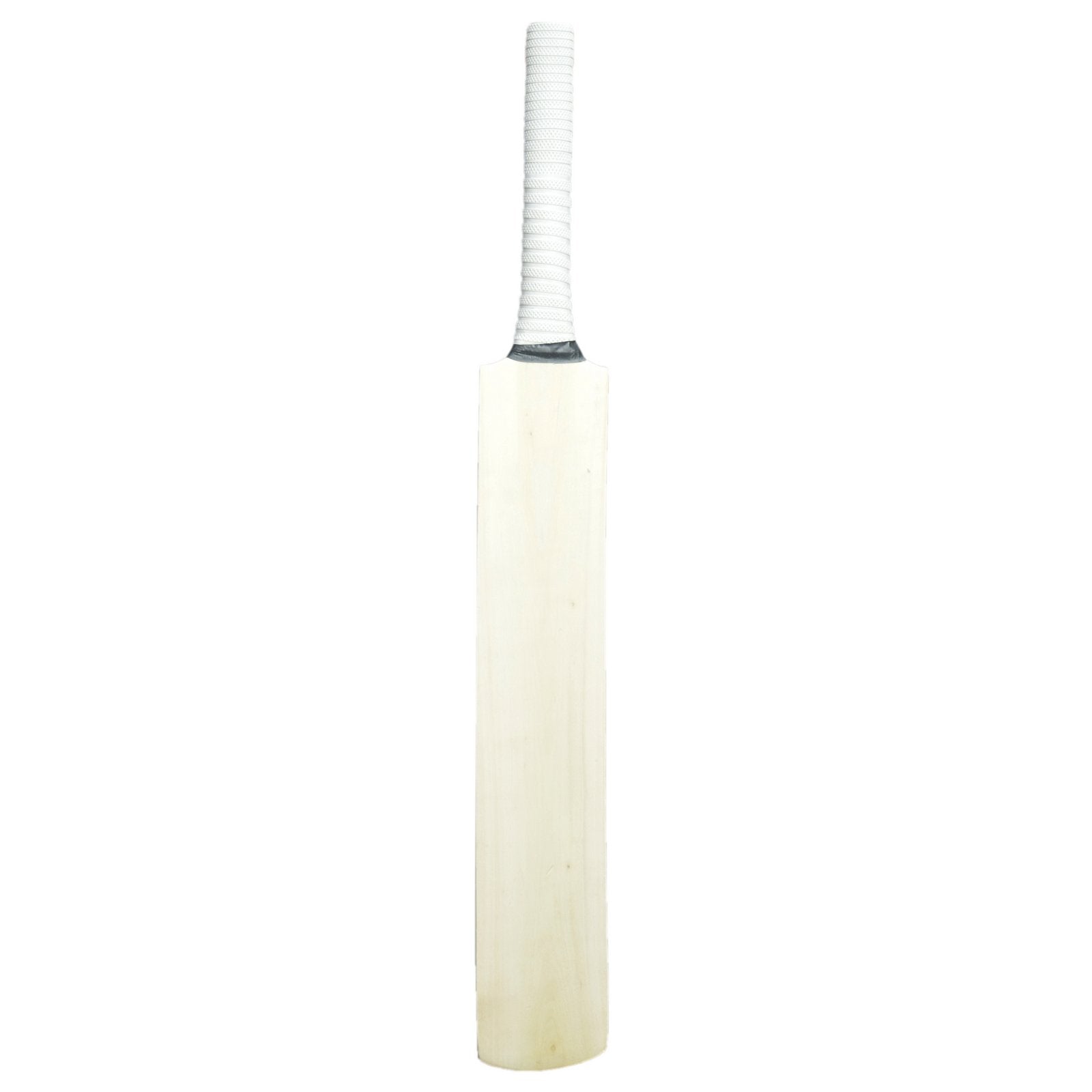 Sturdy Painted Scoop Autograph Bat