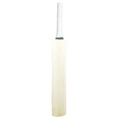 Sturdy Painted Scoop Autograph Bat