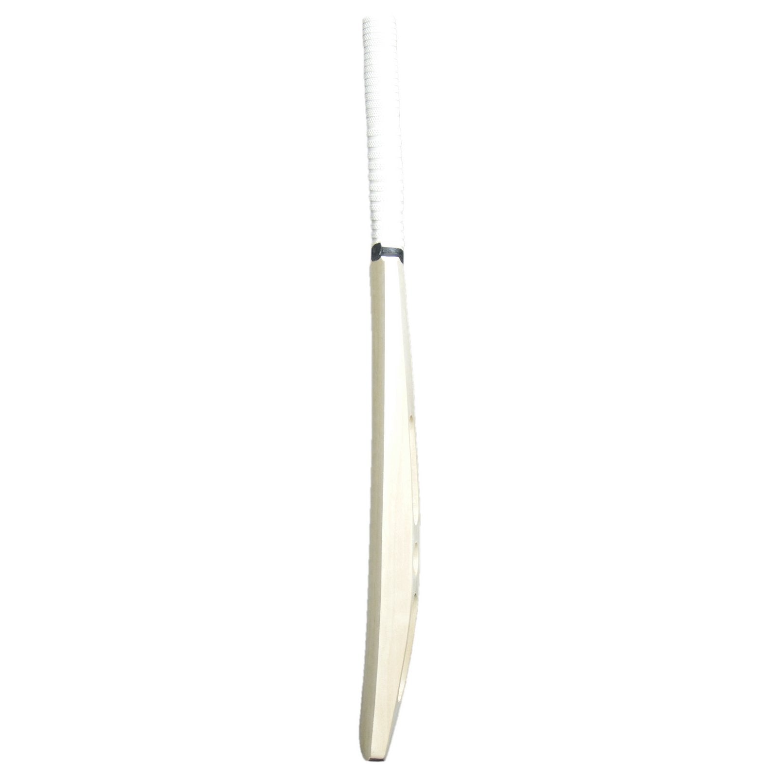 Sturdy Painted Scoop Autograph Bat