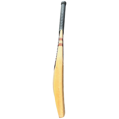 Sturdy Signature 48 - 55 mm Cricket Bat - Senior