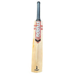Sturdy Signature 48 - 55 mm Cricket Bat - Senior