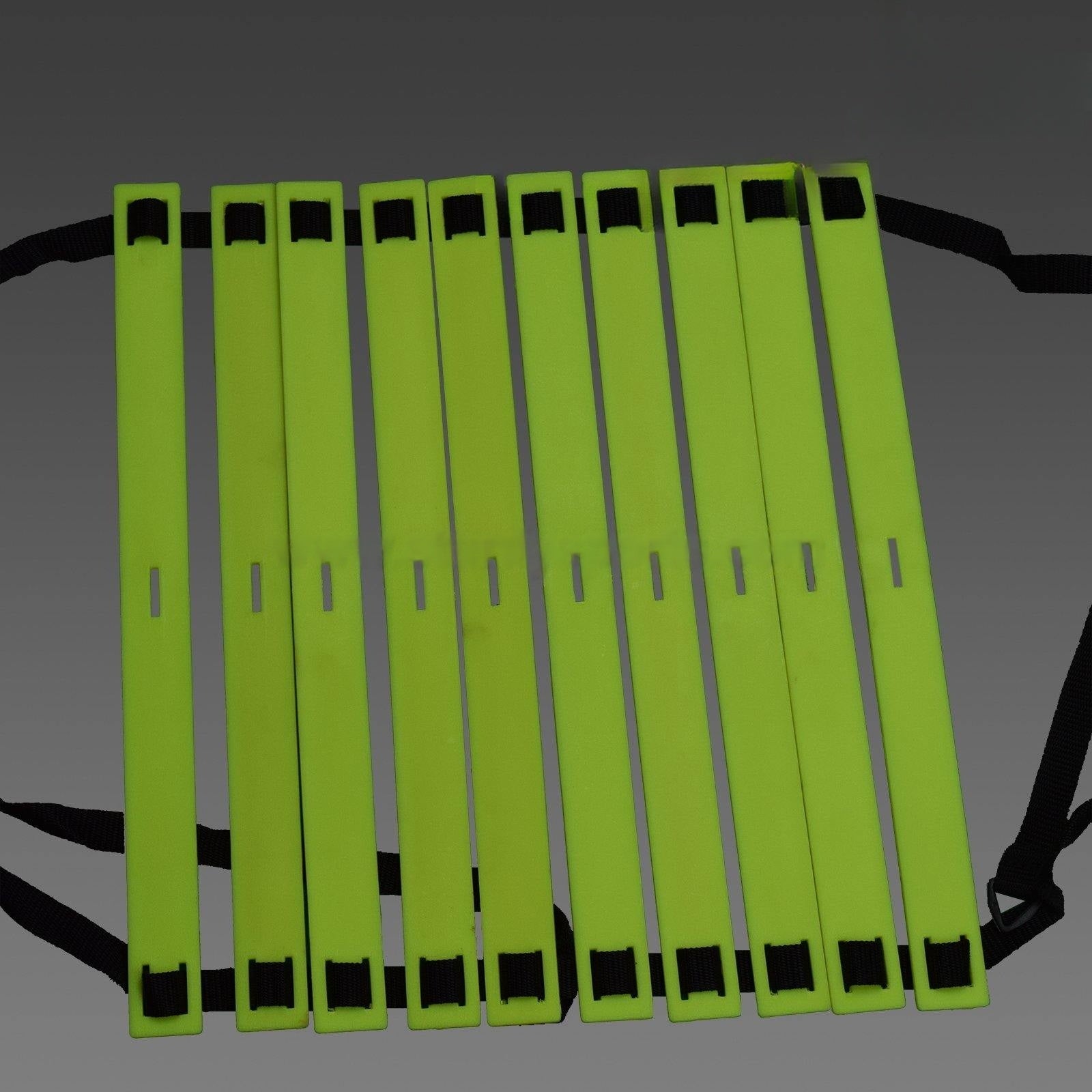 Sturdy Training Ladder