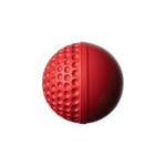 Swinga Technique Cricket Ball