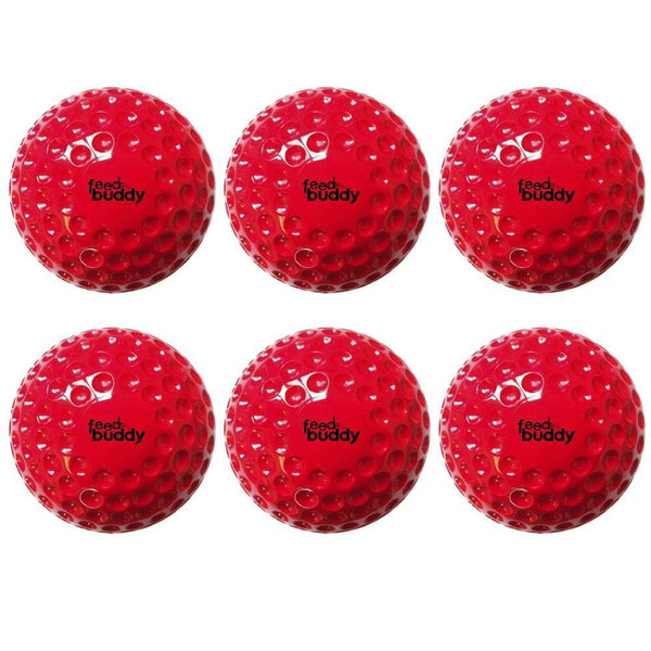 Feed Buddy Ball (Pack of 6)