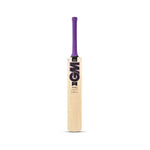 Gunn & Moore GM Haze Maestro Kashmiri Willow Cricket Bat - Senior