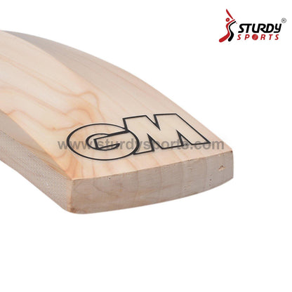 Gunn & Moore GM Icon 303 Cricket Bat - Senior