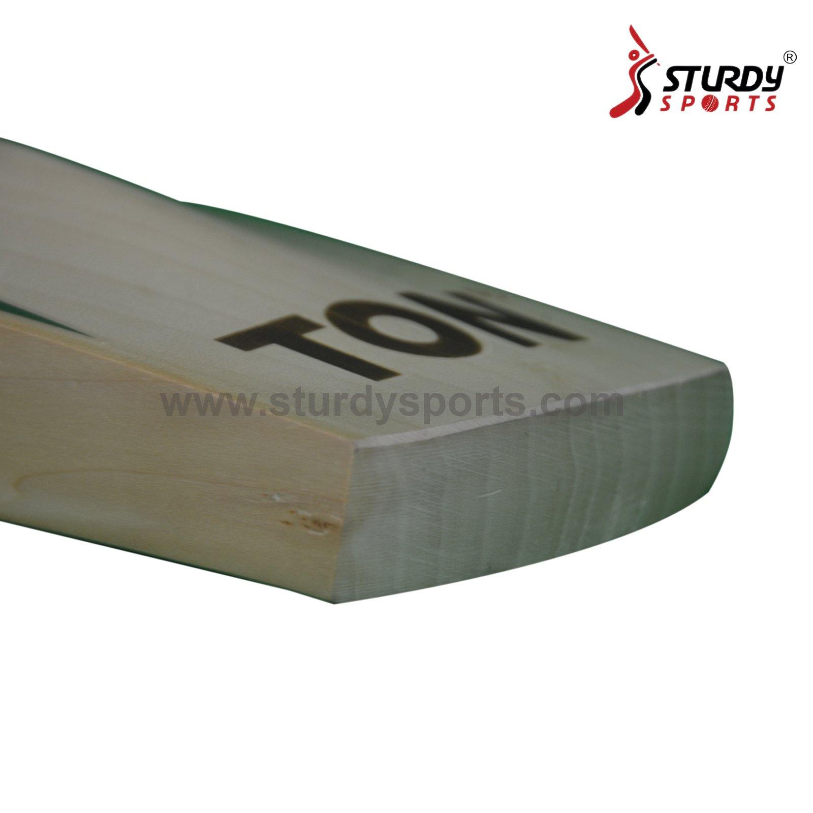 SS Gladiator Cricket Bat - Senior