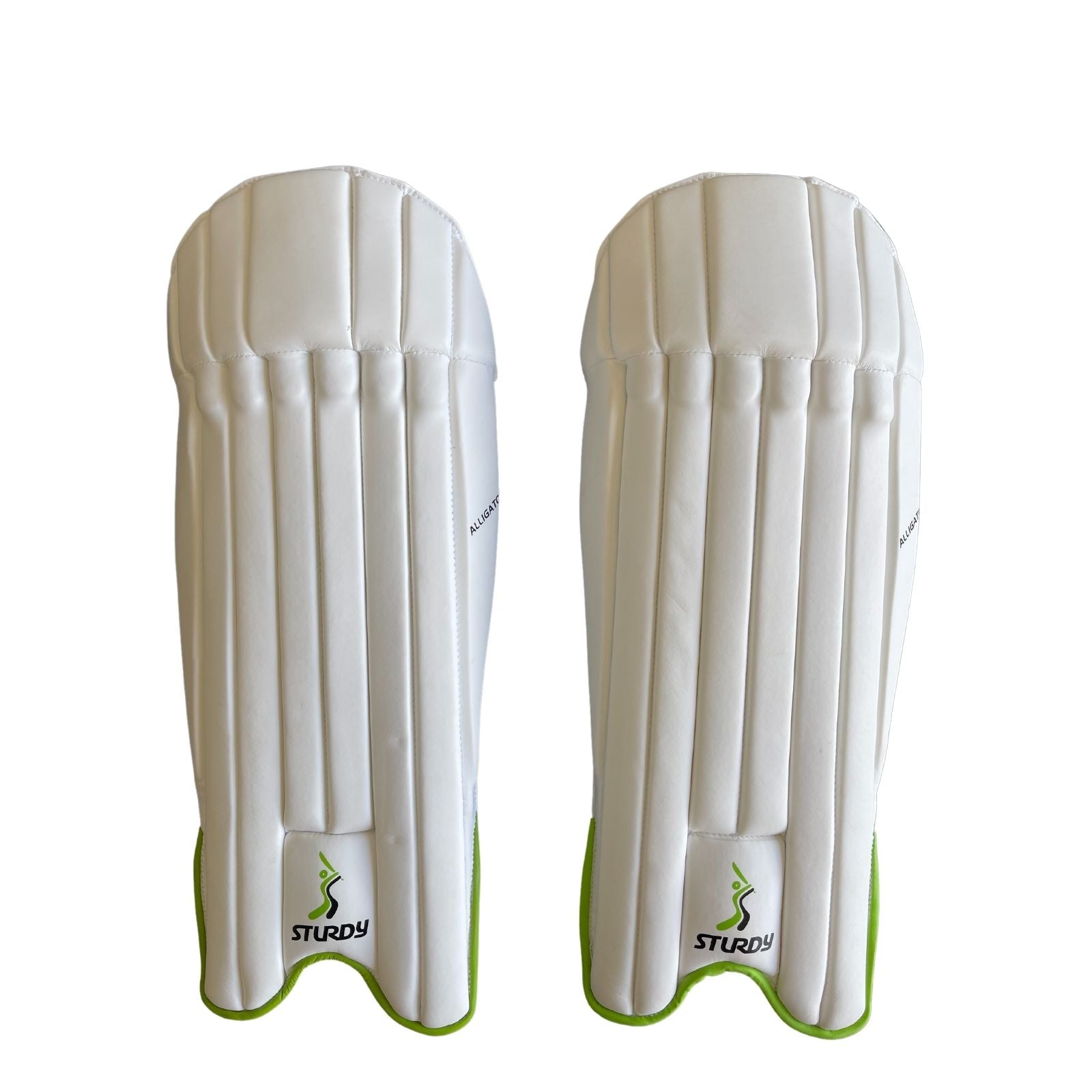 Sturdy Alligator Keeping Cricket Pads - Senior