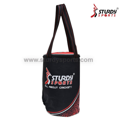 Sturdy Coach Ball Bag