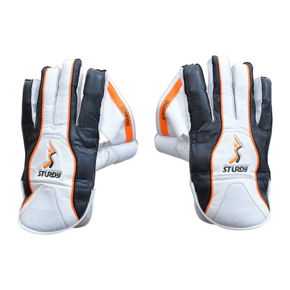 Sturdy Komodo Keeping Cricket Gloves - Senior