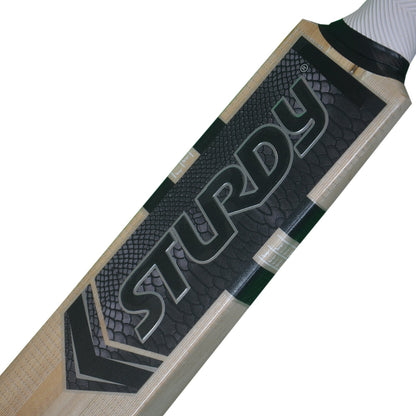 Sturdy Middler / Eye In Bat