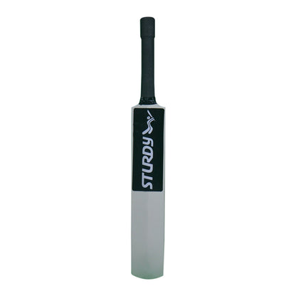 Sturdy Miniature Autograph Bat