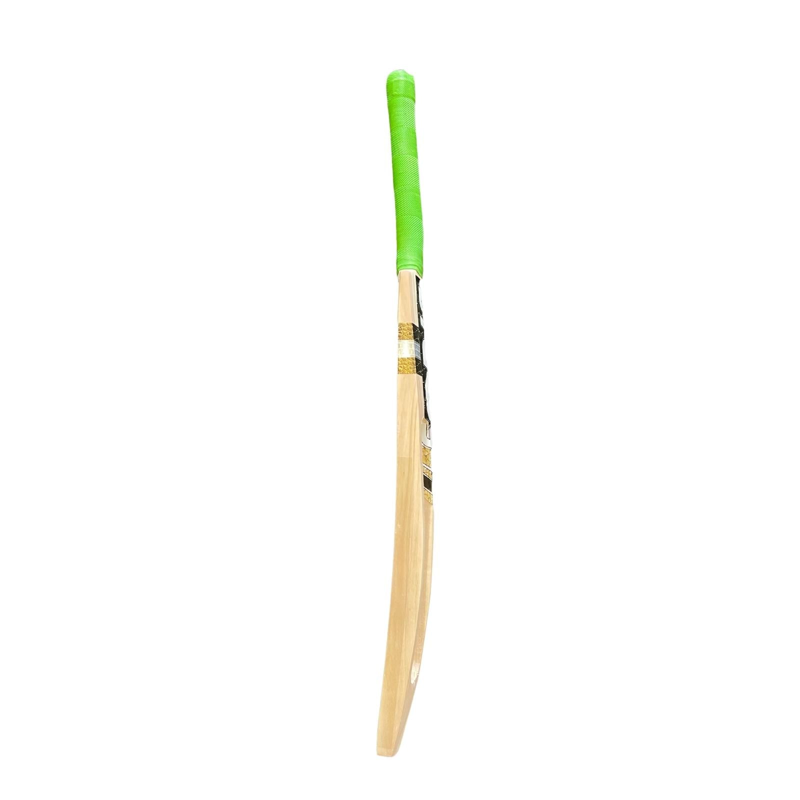 Sturdy Pro Scoop Indoor Bat