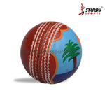 Sturdy Autograph Balls - West Indies